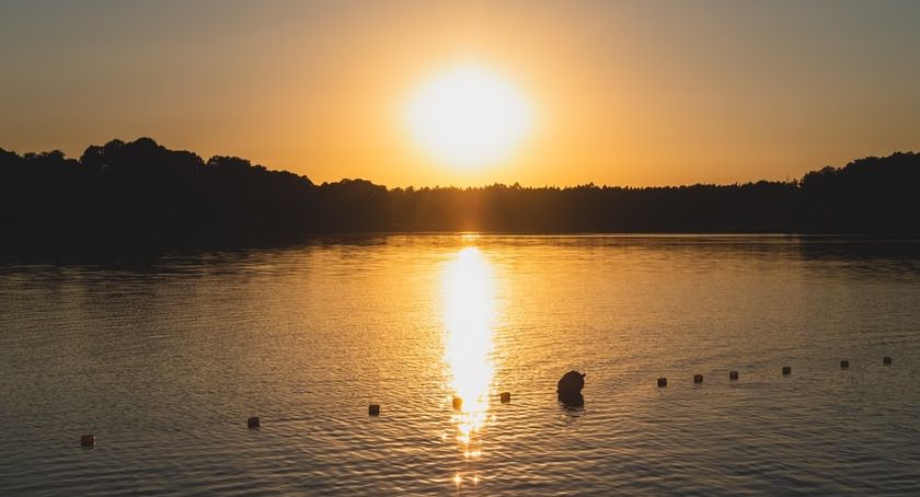 Wykonawca POW kontra Pałac w Wilanowie: o co chodzi w tym sporze?
