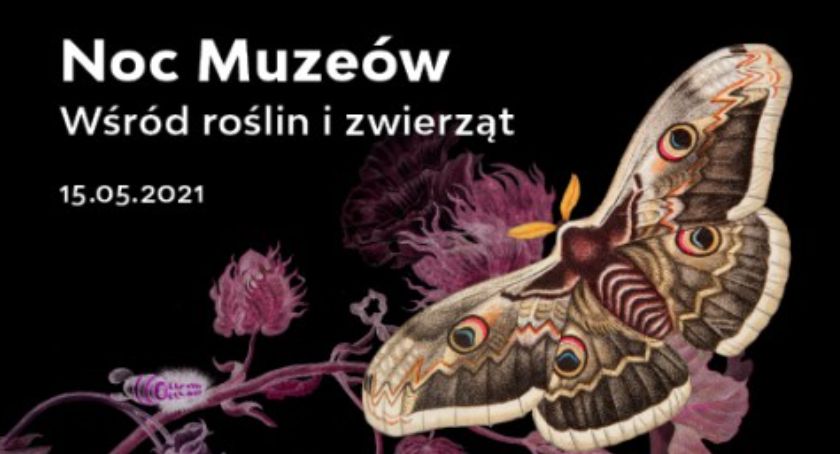 Noc Muzeów! 