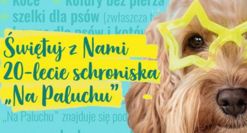 20. lecie Schroniska na Paluchu. Grafika z psem i napisami.