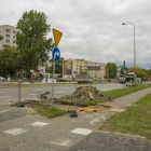 zdjęcie nr 33