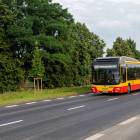 Fotka nr 2 z 4