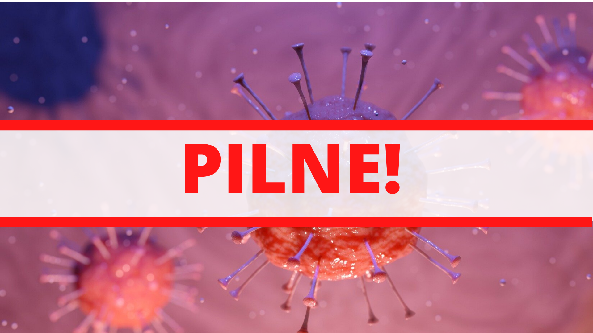 Zdjęcie: Wilanów Warszawa wiadomości Wilanów Dzielnica Warszawy portal Wilanowa