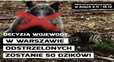 Odstrzał dzików w Wilanowie. Sprawdź gdzie?